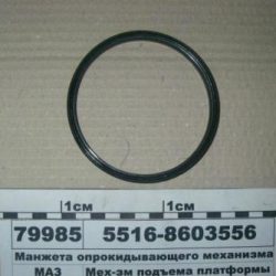 5516-8603556