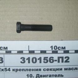310156-П2