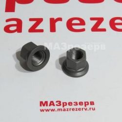 93865-3104038-01-СПЕЦМАШ