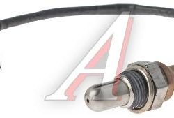 25368889/25368889-10