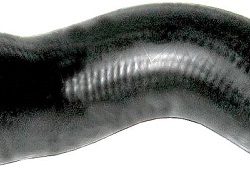 33081-1303025